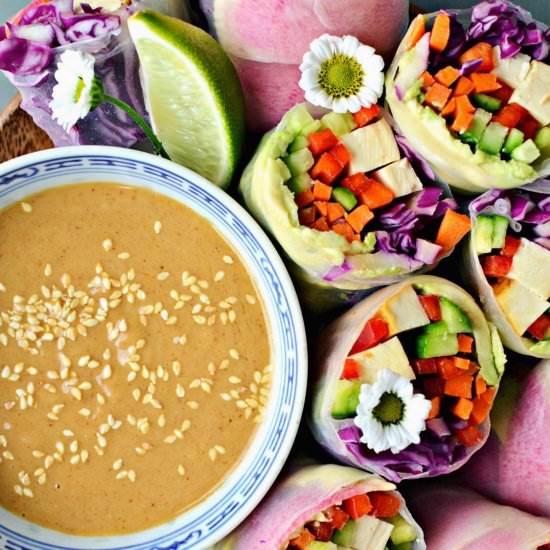 Vegan Rainbow Summer Rolls