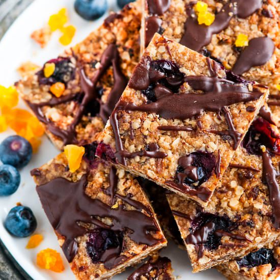 Apricot Blueberry Oatmeal Bars