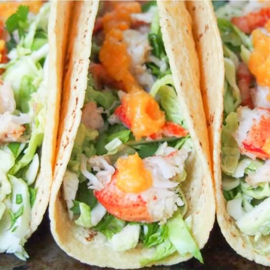 Lobster tacos