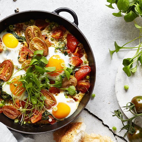 Breakfast Tomato Shakshuka