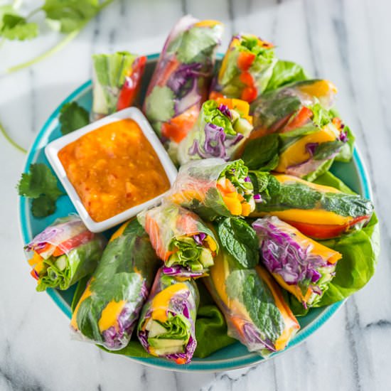 Rainbow Spring Rolls