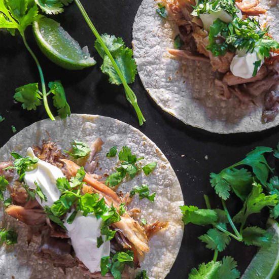 Papa’s Sous Vide Carnitas