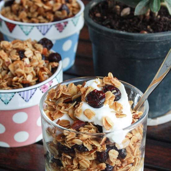 Cranberry Almond Granola