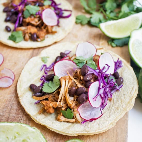 Jackfruit Carnitas Tacos