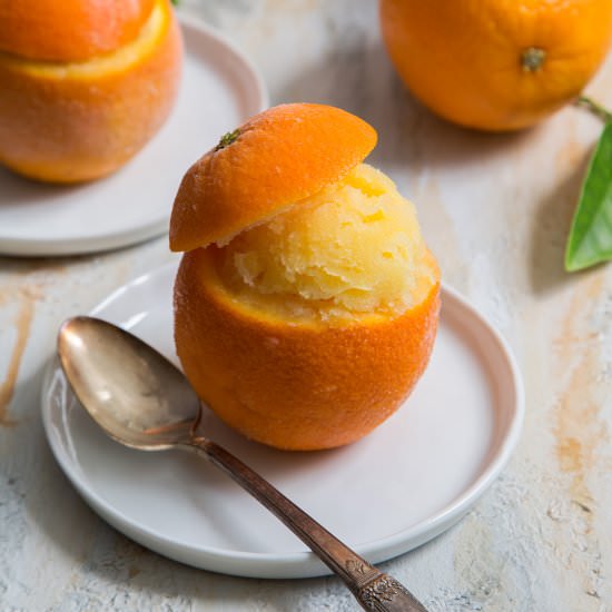 Orange Sorbet