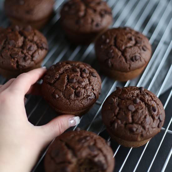 Healthy Double Chocolate Chip Muffins