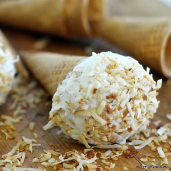 Vegan Toasted Coconut Ice Cream