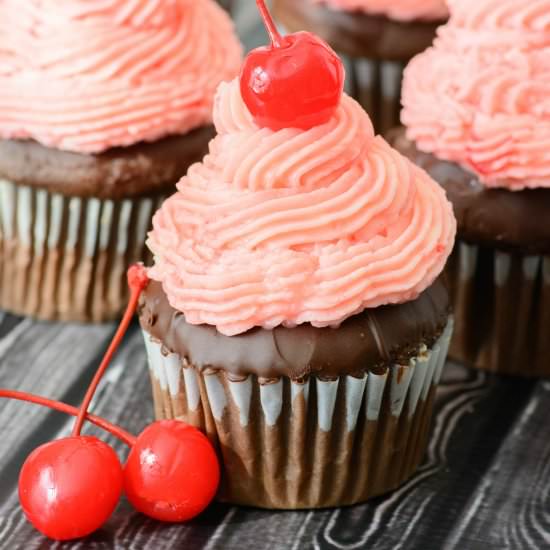Chocolate Ganache Cupcakes