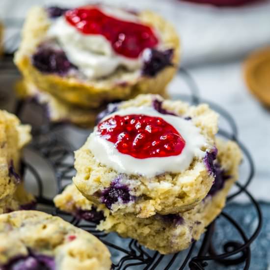 Blueberry Scones (Vegan + GF)