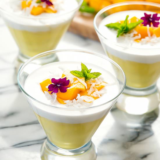 2 Ingredient Mango Coconut Pudding