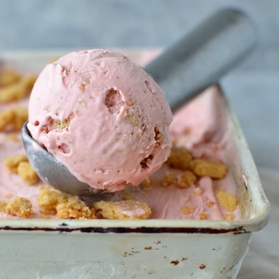 Rhubarb Strawberry Ice Cream