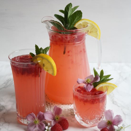 Raspberry Lemonade Fizz