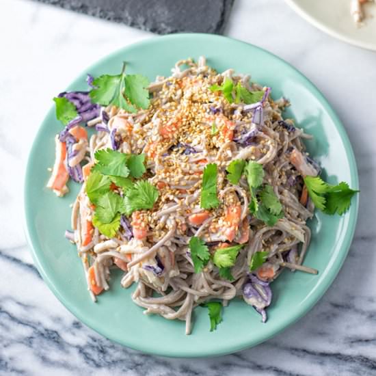 Soba Noodle Red Cabbage Slaw