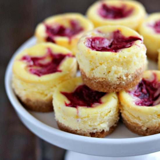 Mini Lemon Cheesecakes