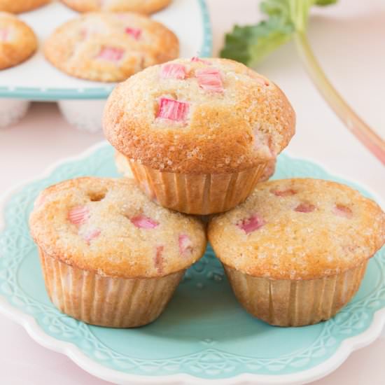 Fresh Rhubarb Muffins