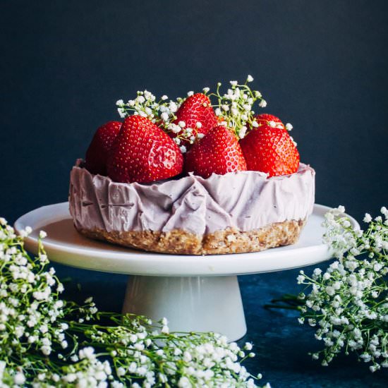 Blood Orange Raspberry Cheesecake