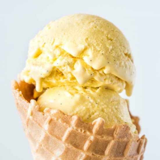 Homemade Vanilla Bean Ice Cream