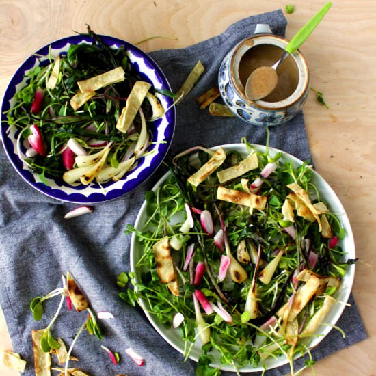 seasonal salad