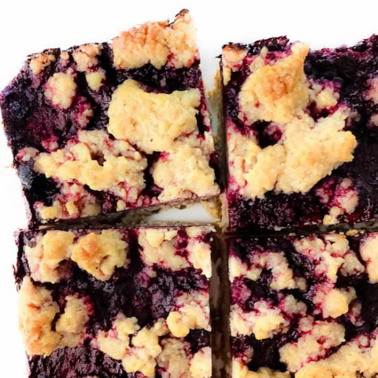 Blackberry Oat Crumb Bars