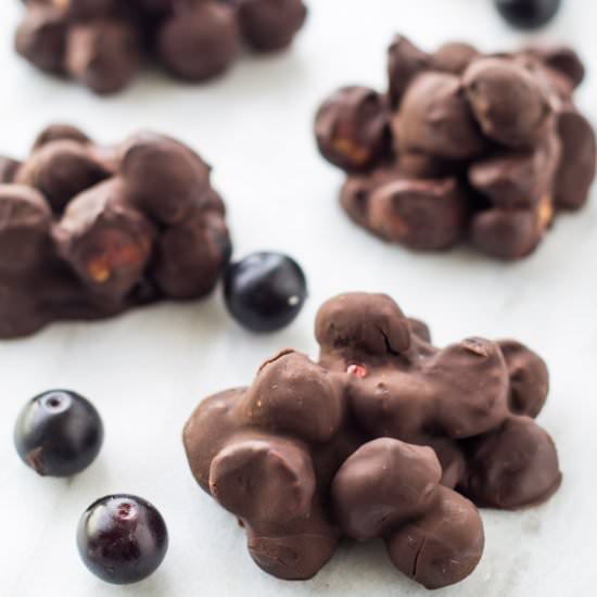 Low Fodmap Blueberry Mac Nut Bites