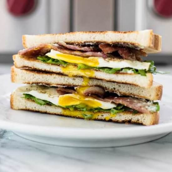 Fried Egg Sandwich