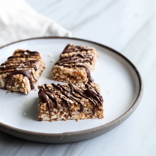 No Bake Salted Caramel Omega Bars