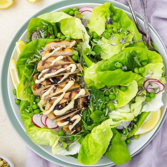 Grilled Honey Chicken Salad
