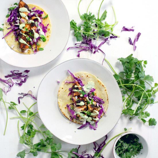 Chipotle Salmon Tacos