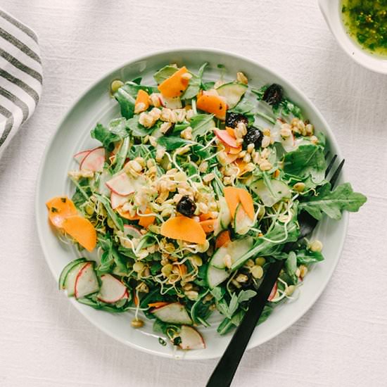 Sprouted Lentil Salad with Farro