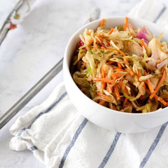 The Best Coleslaw Recipe Ever