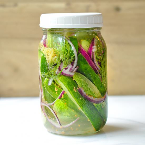 Pink Refrigerator Dill Pickles