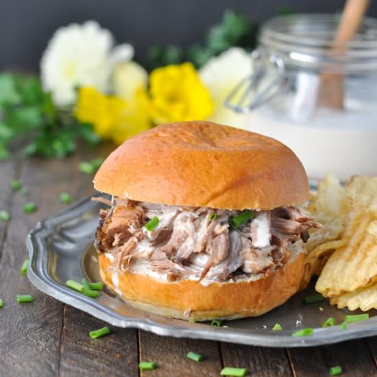Pulled Pork & Alabama White Sauce