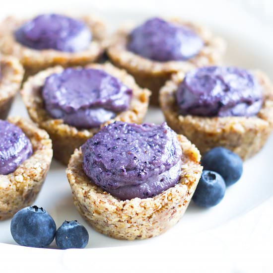 Healthy No-Bake Blueberry Tarts