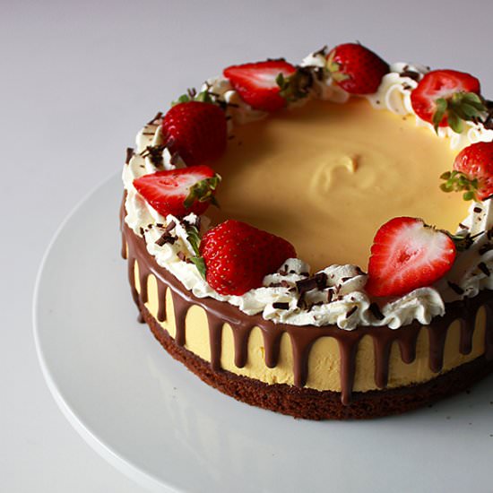 Mango Mousse Chocolate Cake