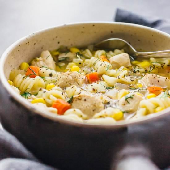 Instant pot chicken noodle soup