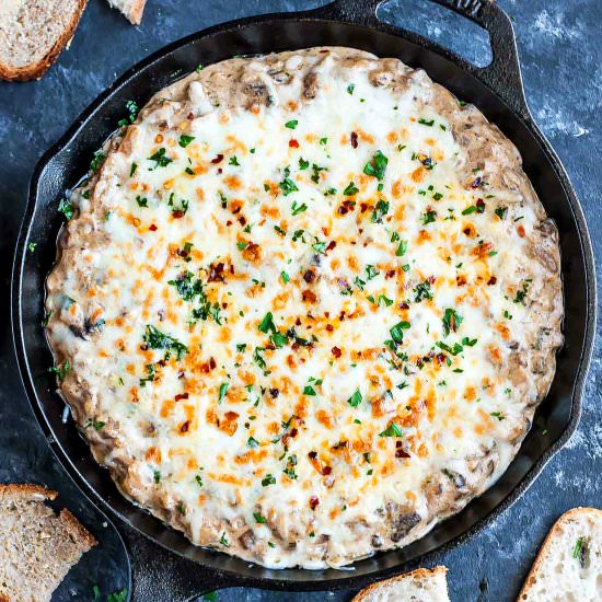Hot Caramelized Onion Mushroom Dip