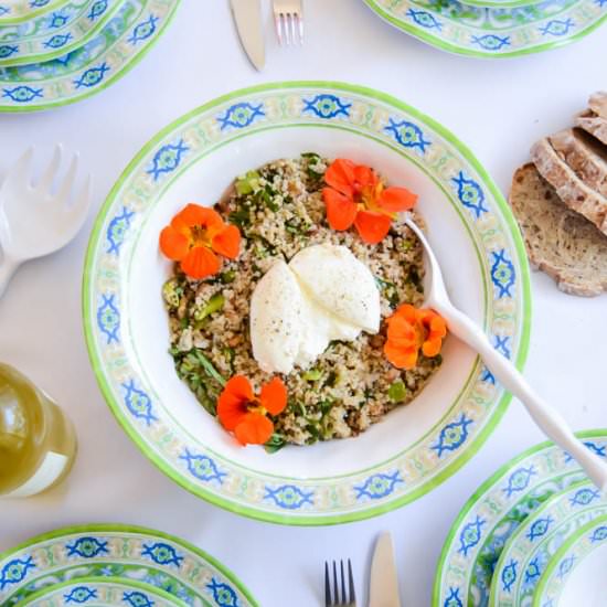 Fava Bean & Burrata Grain Salad