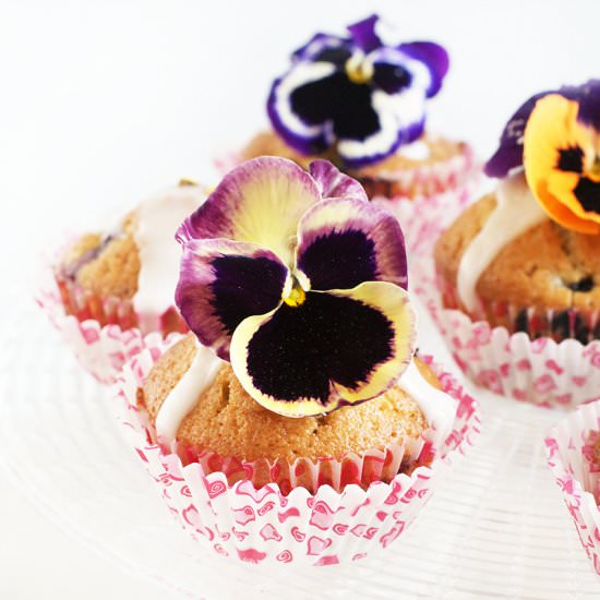 Lemon muffins with blueberry