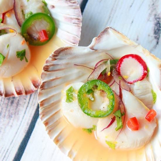 Spicy Scallop Crudo