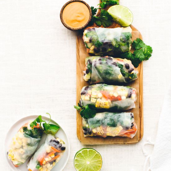 Southwest Vegan Spring Rolls