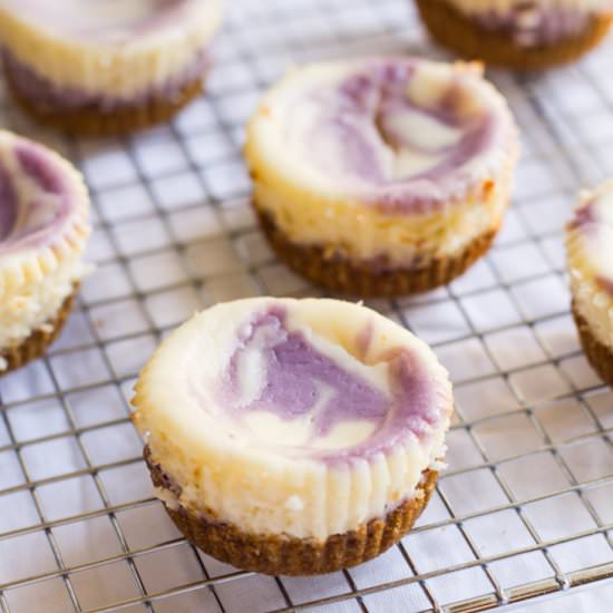 Blueberry Lavender Mini Cheesecakes