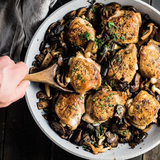 Pan Fried Chicken and Mushrooms