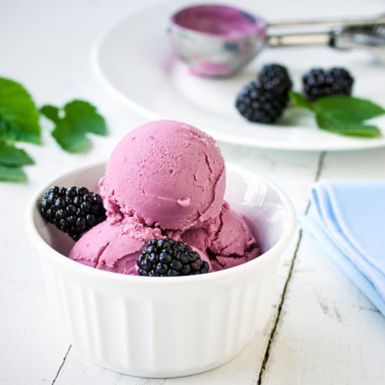 Blackberry Frozen Yogurt