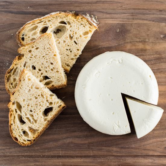 Same Day Vegan Mozzarella