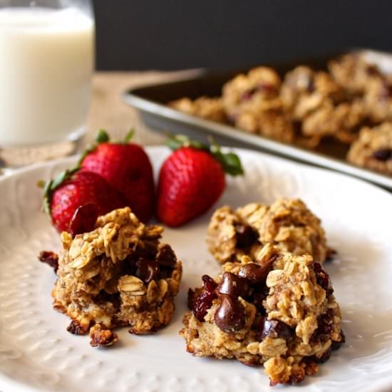 Healthy Snack Cookies