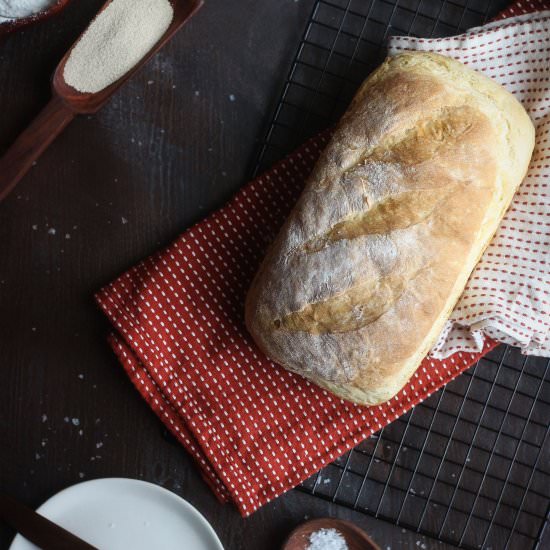 Quick and Easy Loaf of Bread