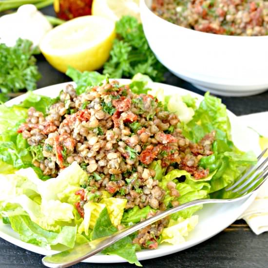 Lentil Sundried Tomato Salad