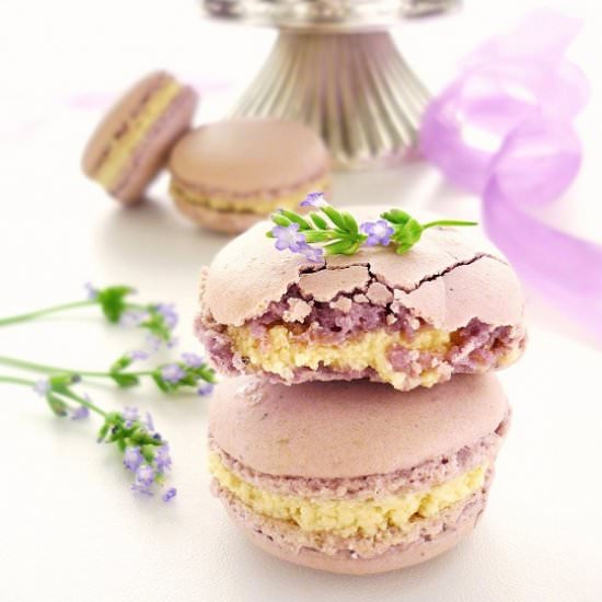 Lavender Macarons