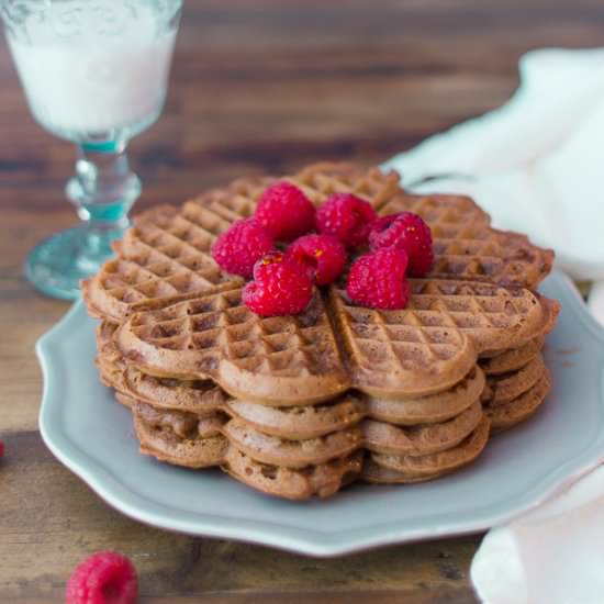 Gluten Free Chocolate Waffles