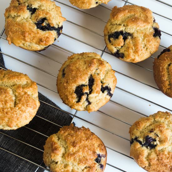 Gluten-Free Blueberry Muffins